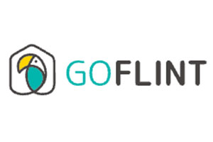 GoFlint
